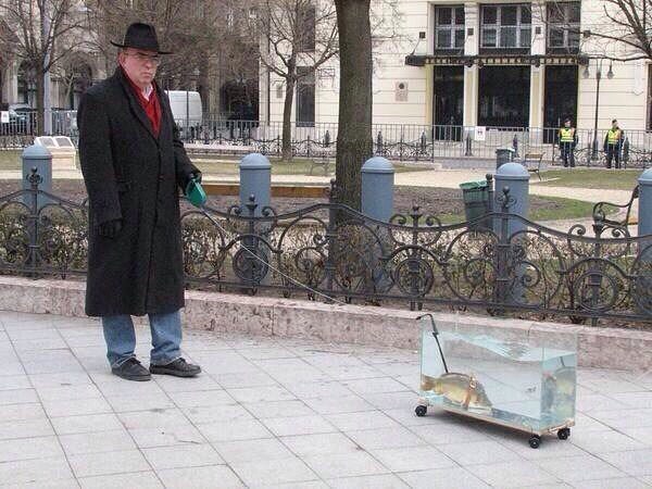 Чудики из социальных сетей