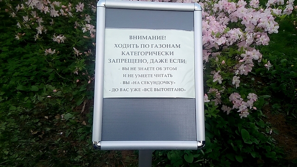 Надписи от тех, кто точно знает, как приковать наше внимание