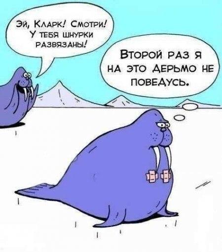 Немного весёлых карикатур