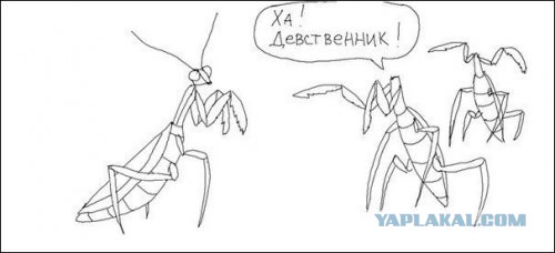 Почему ваши женщины от вас уходят?