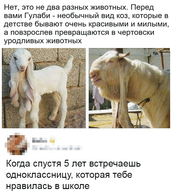 Сидите тут, фигнёй страдаете...