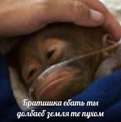 Прыжок в воду на авто с разгона