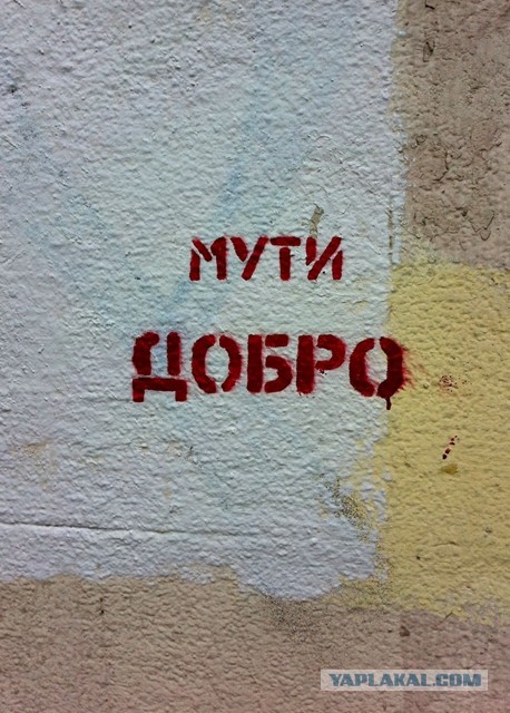 «Бродячие» философы: 17 глубокомысленных заметок в транспорте и на улицах