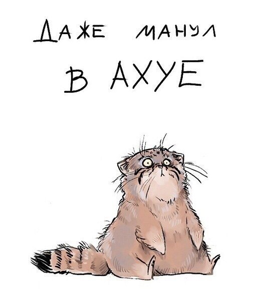 Уровень крутости зашкаливает