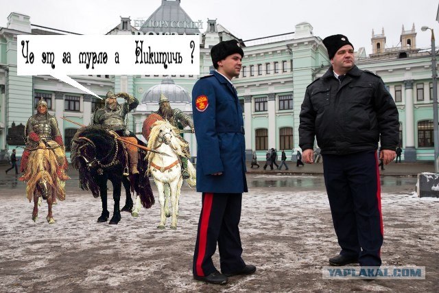 Кошачий патруль