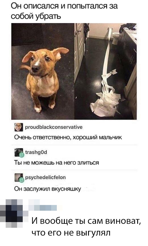 Нестандартный юмор