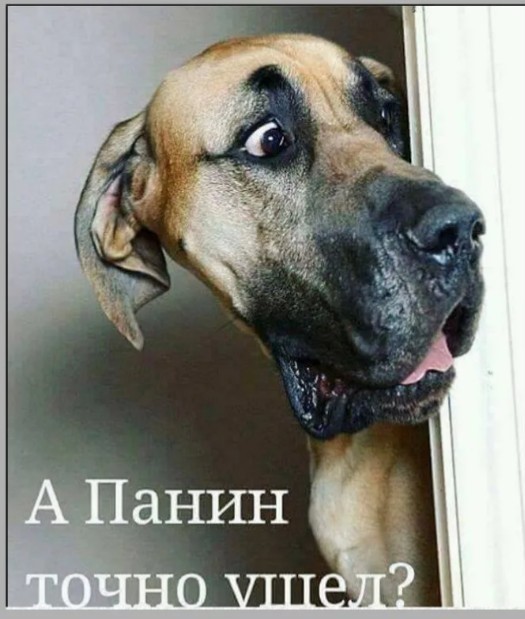 Картинки с надписями и анекдоты 19.07.19