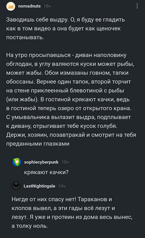 Прикольные комментарии и высказывания из Сети