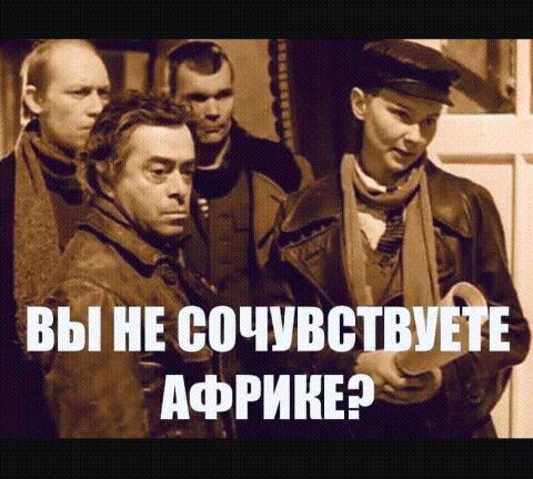 Чуток картинок 28.11.19