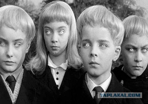 Дети огурцов