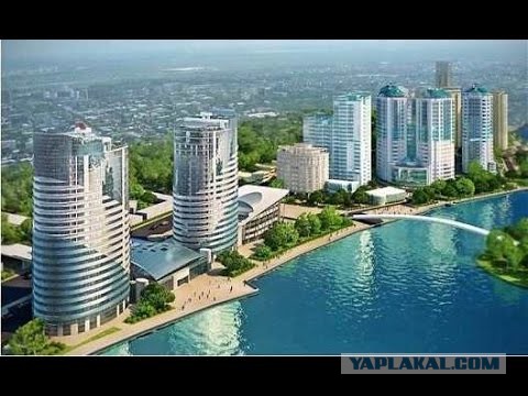 Тут правит бал безнадёга