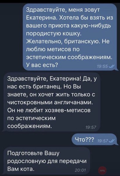 Чуток картинок. 02.02.20