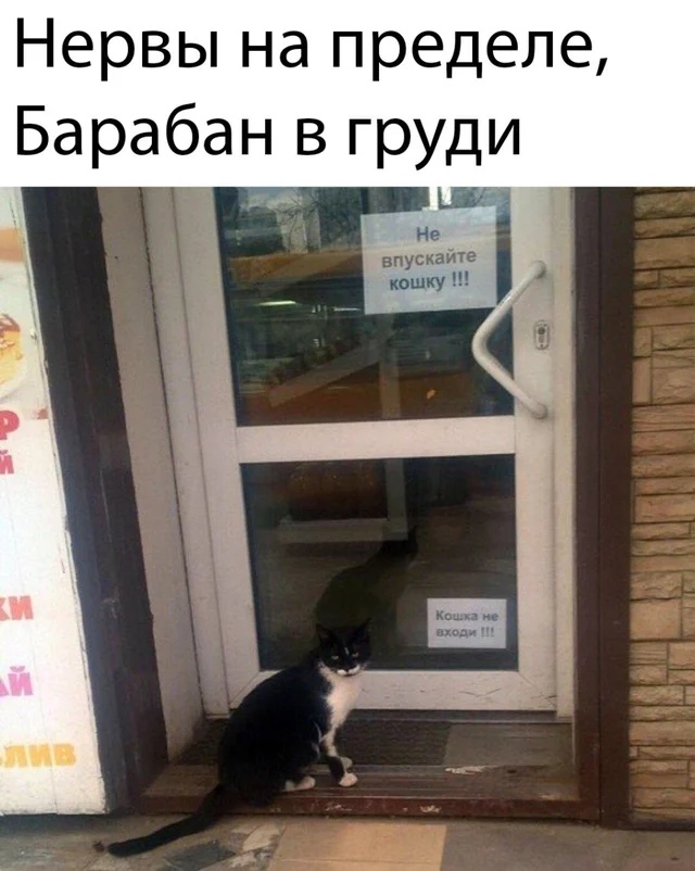 Немного картинок для настроения 27.02.20