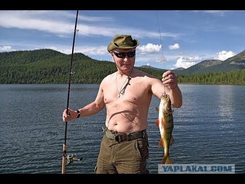 На матче "Зенита" и "Ахмата" в Грозном случилась массовая драка