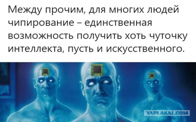 Чипизация