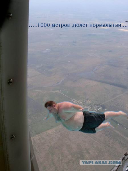 Фотожаба: Пузатик!
