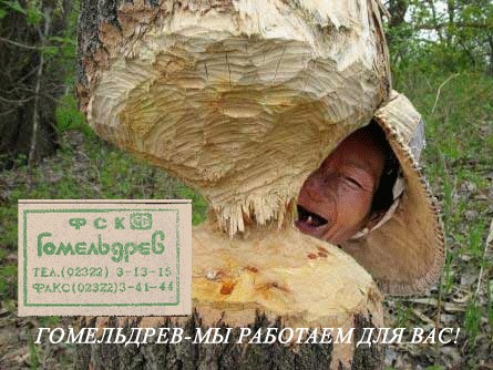 Фотожаба: Бабушка Ли