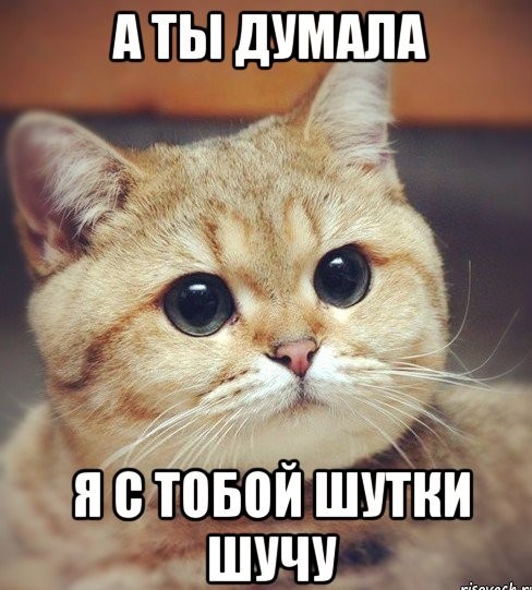 Будни ветеринара