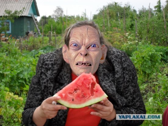 Фотожаба: Принцесса ФИОНА
