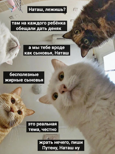 Мемы про Наташу