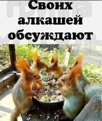 Опять 25! 26.12.2020