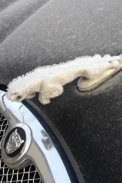 Снежные чудеса, которые редко увидишь