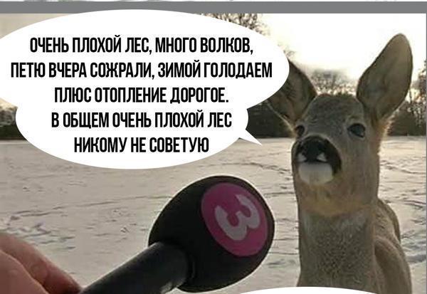 Просто картинки 05.07.2021