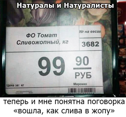 Картинки на*уй не нужны, картинки на*уй не важны