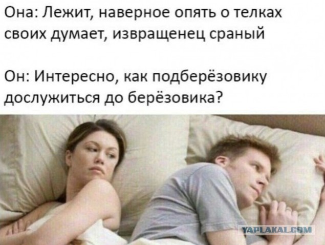 Так себе картинки 22.12.21
