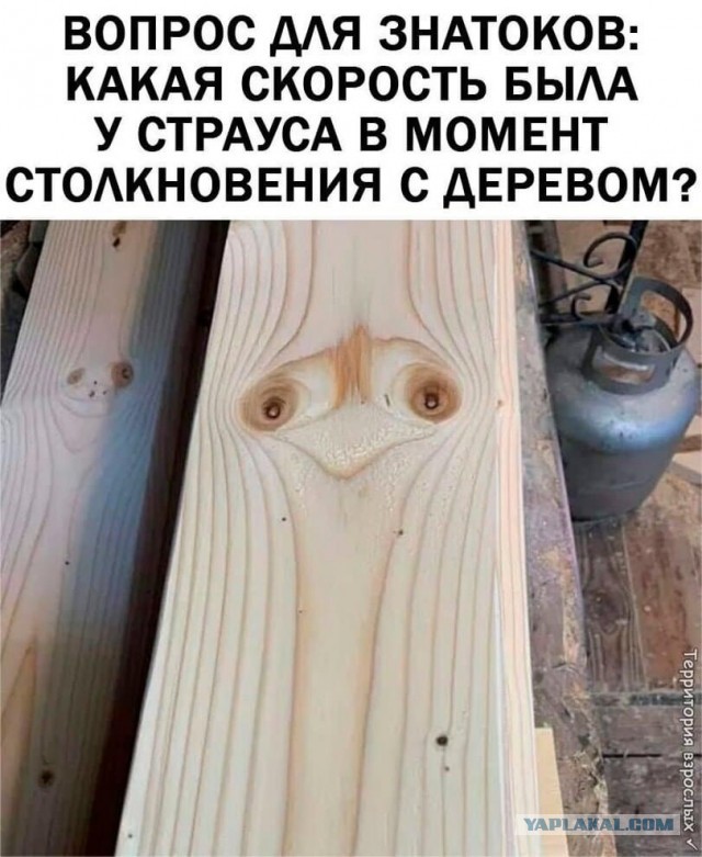 Позвольте разделить с вами свою радость