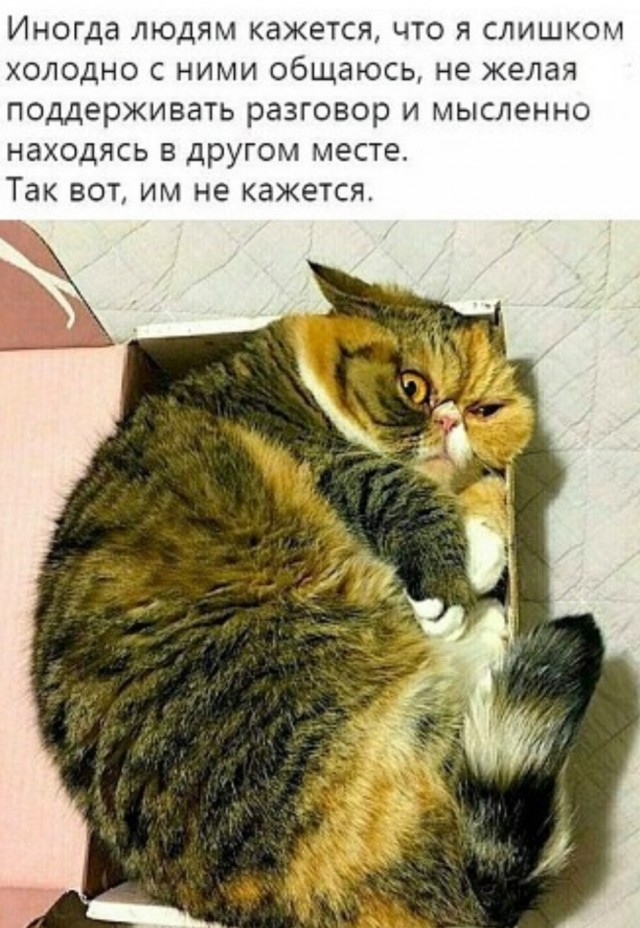 Забавные комментарии из социальных сетей (16.01.23)