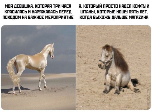 Картинки и мемы, всем хороших выходных