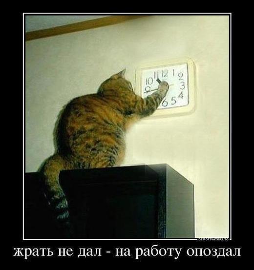 10 .jpg вам в хату