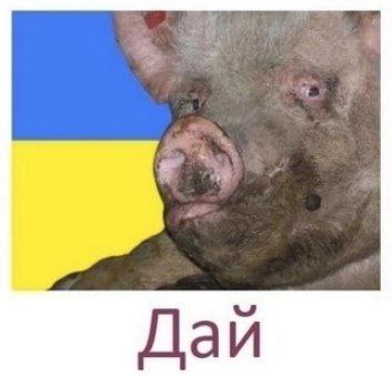 Разведка США: у России хватит средств, чтобы вести войну еще как минимум год