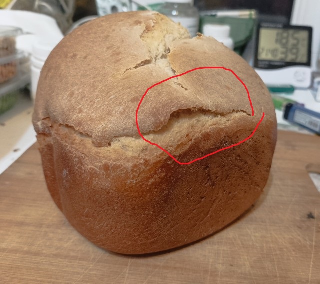 Хочешь узнать, как женщина занимается сексом? Посмотри на то, как она ест