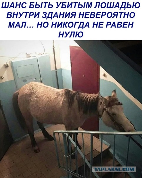 В Уфе сорвался лифт