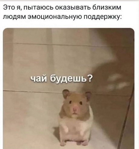 Ремонт в доме - моя страсть!