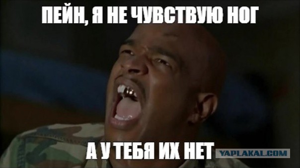 Участника СВО назначили директором школы в Перми.