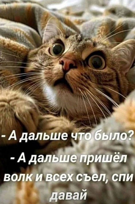 Так себе картинки 11.10.24