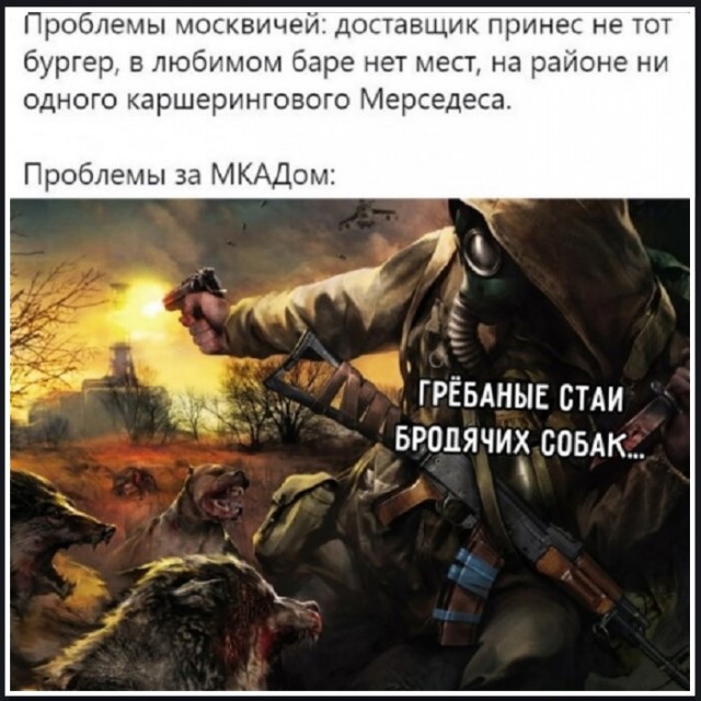Веселые картинки к понедельнику (25.11)