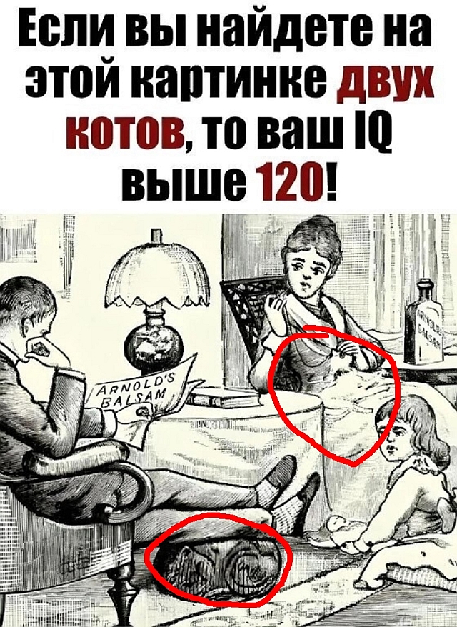 Так себе картинки 16.03.25