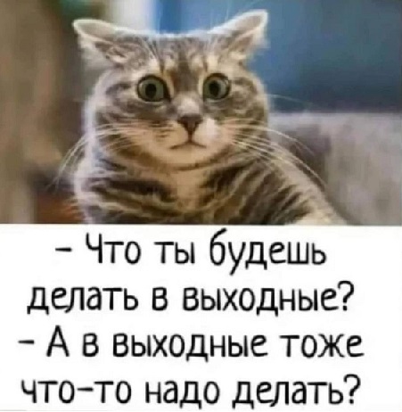 - Официант! У меня холодный суп!