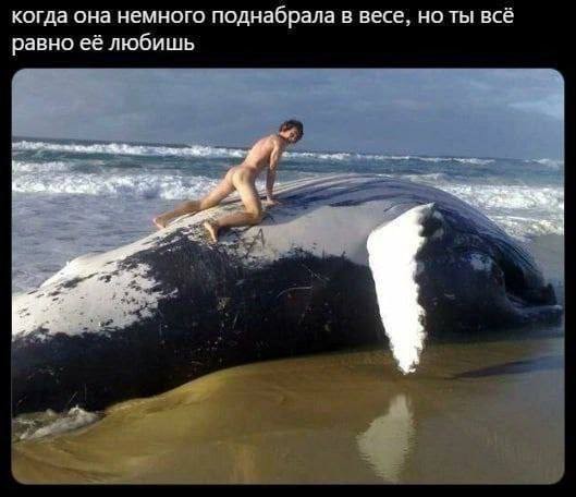 Всем доброго четверга, комратовцы.