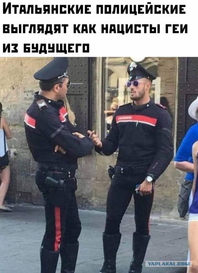 Веселые картинки в пятницу (11.04)