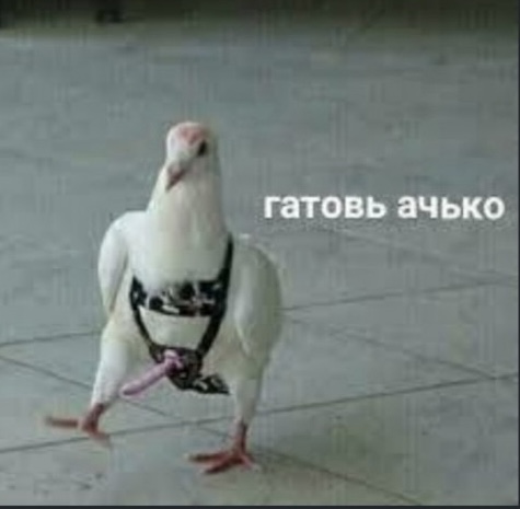 Падонги, кину чуть картинок. 10 штук