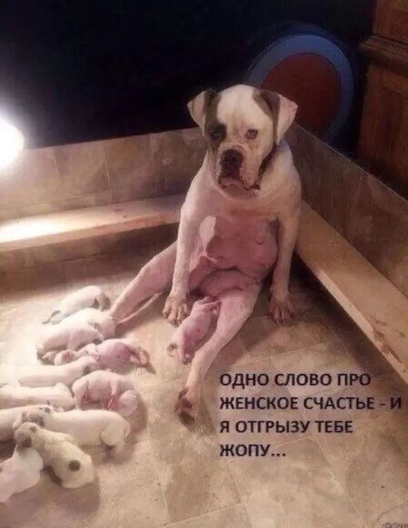 50 оттенков дичи