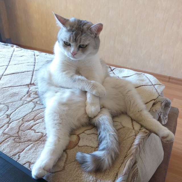 Уррра! Заррработало!)