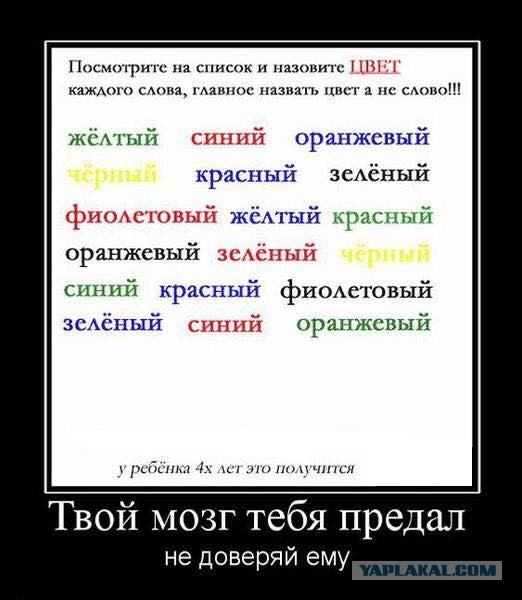 Так себе картинки 29.08.25