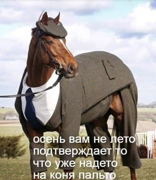 Прикольные и просто красивые картинки 10.10.2025