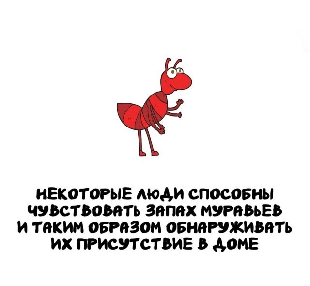 Интересные и короткие факты на все случаи жизни 05.01.26